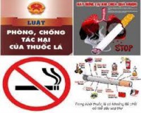 tải xuống (1) (1)